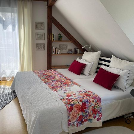 Am Apfelbaum, Ein Ferienhaus Zwischen Rhein Und Mosel Kastellaun Dış mekan fotoğraf