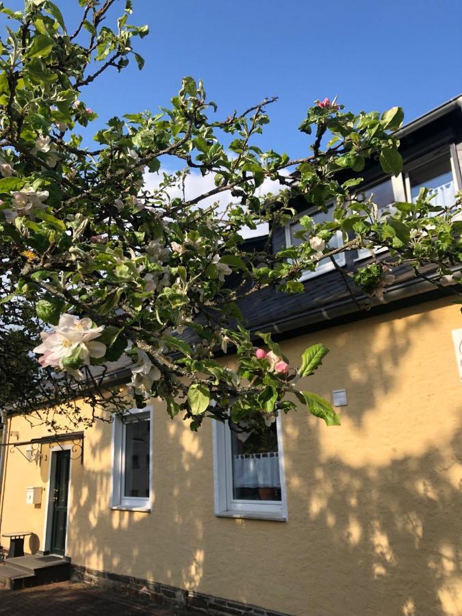 Am Apfelbaum, Ein Ferienhaus Zwischen Rhein Und Mosel Kastellaun Dış mekan fotoğraf