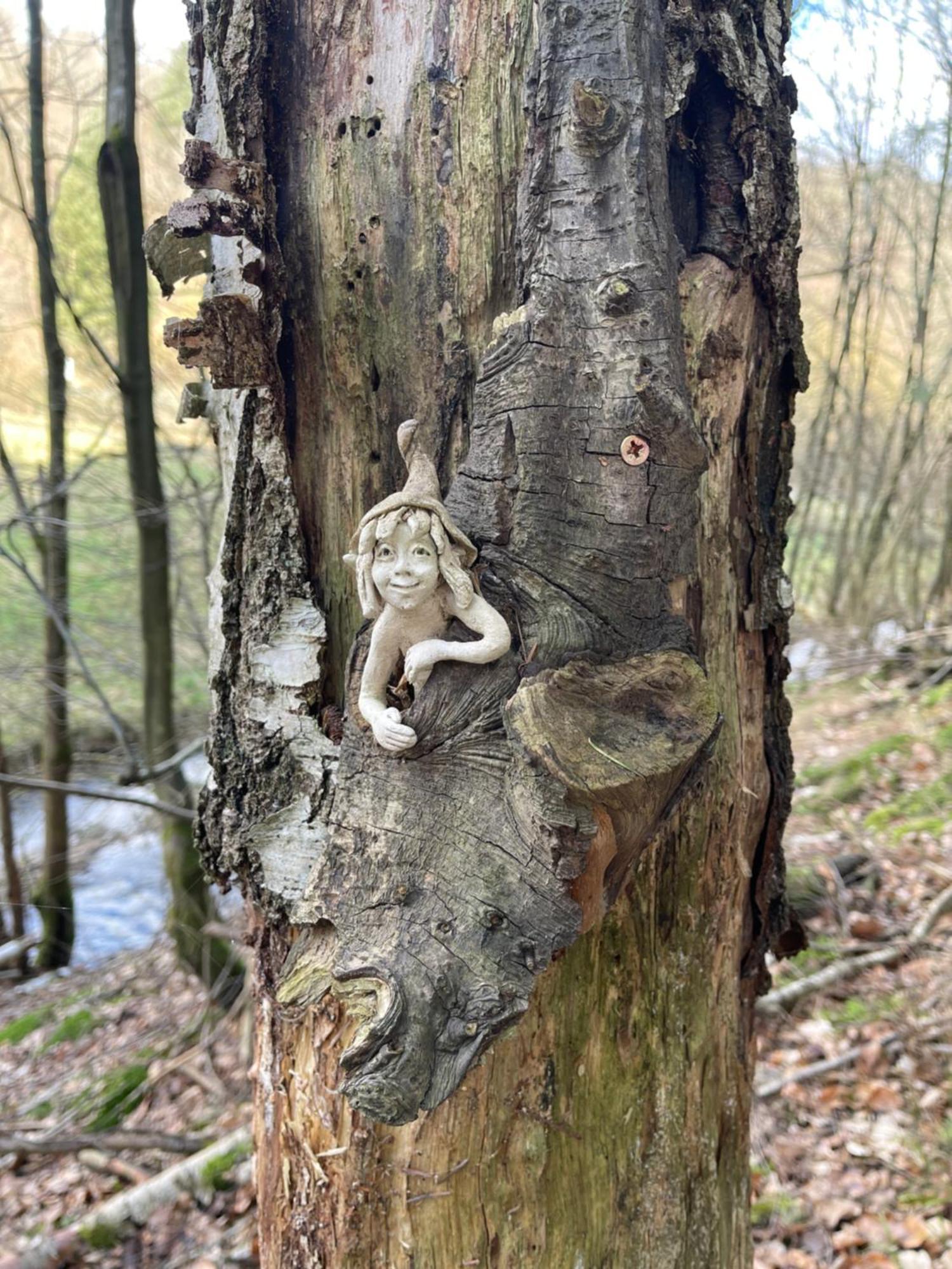 Am Apfelbaum, Ein Ferienhaus Zwischen Rhein Und Mosel Kastellaun Dış mekan fotoğraf
