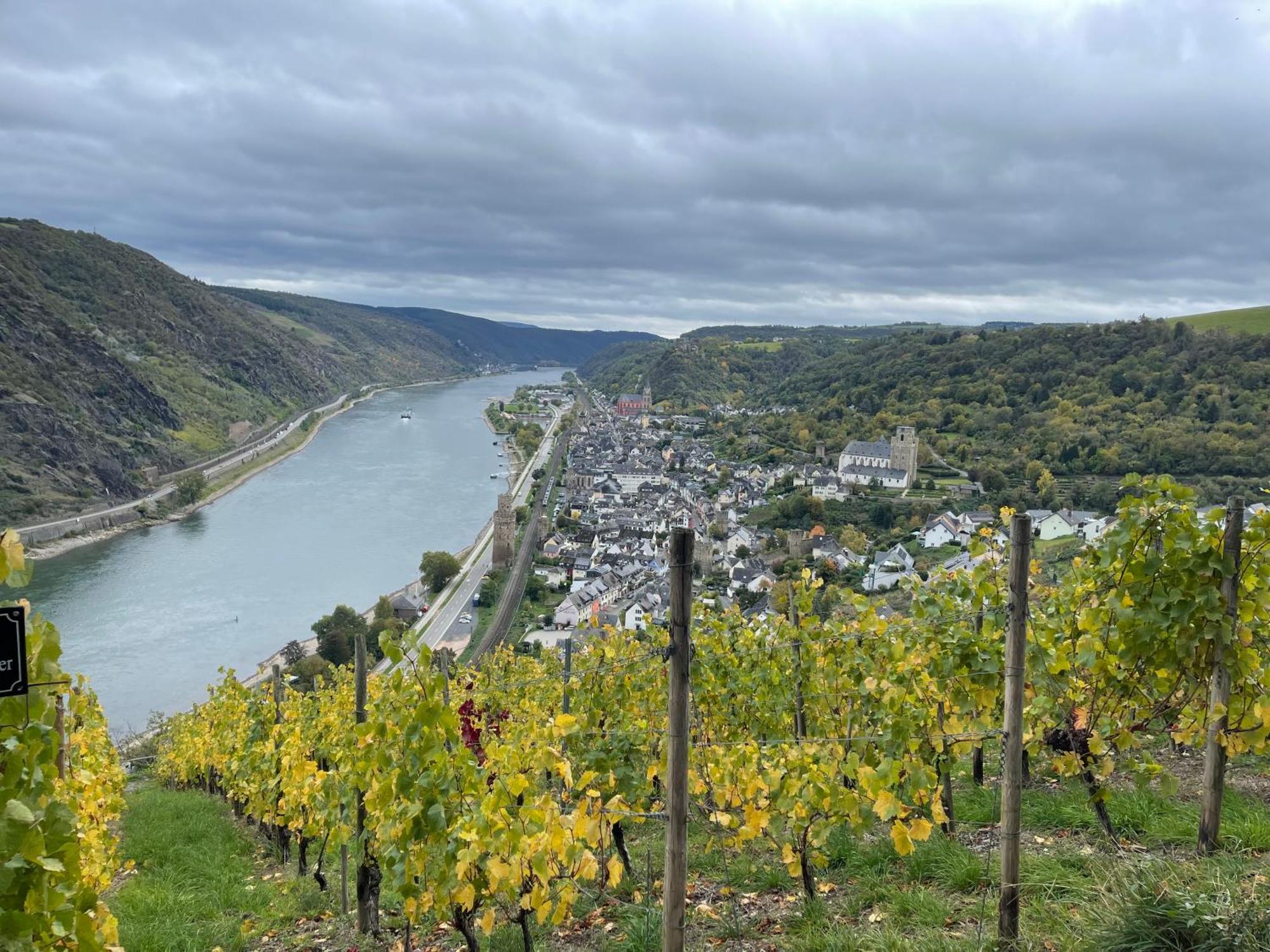 Am Apfelbaum, Ein Ferienhaus Zwischen Rhein Und Mosel Kastellaun Dış mekan fotoğraf