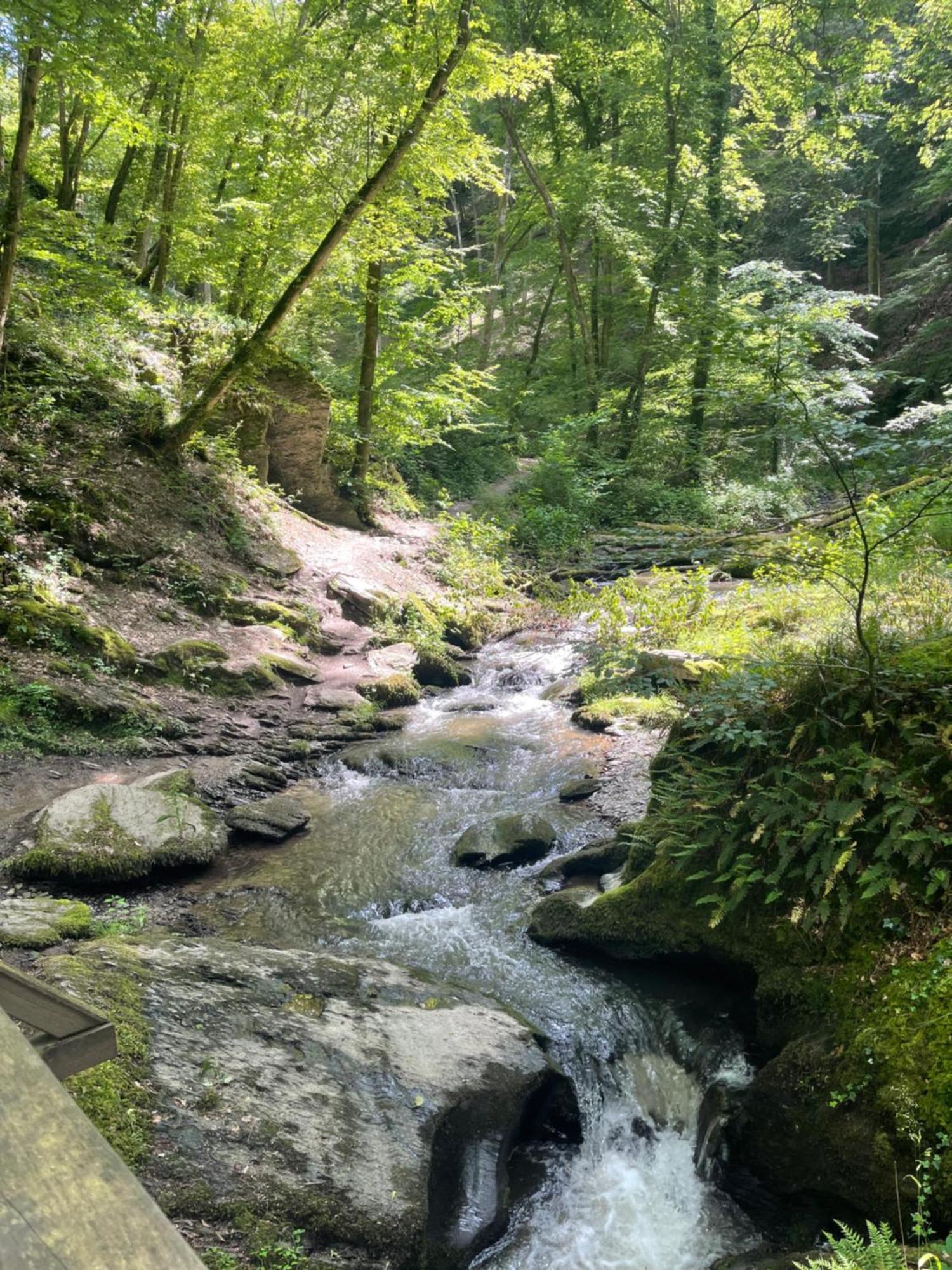Am Apfelbaum, Ein Ferienhaus Zwischen Rhein Und Mosel Kastellaun Dış mekan fotoğraf